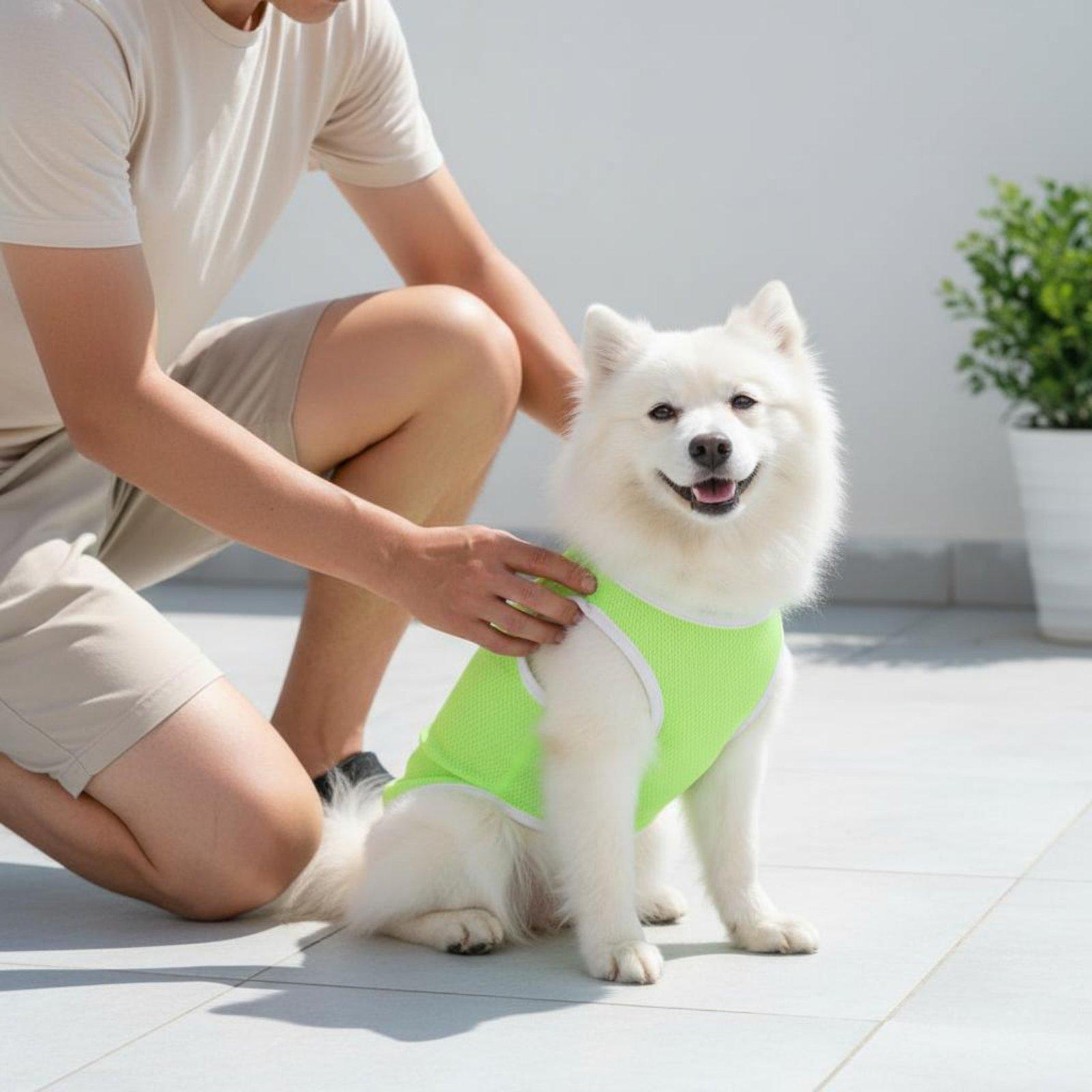 犬用ペットメッシュベスト、暑さ対策、アウトドアアドベンチャー - Outdoor Adventure Boys のレビューと価格