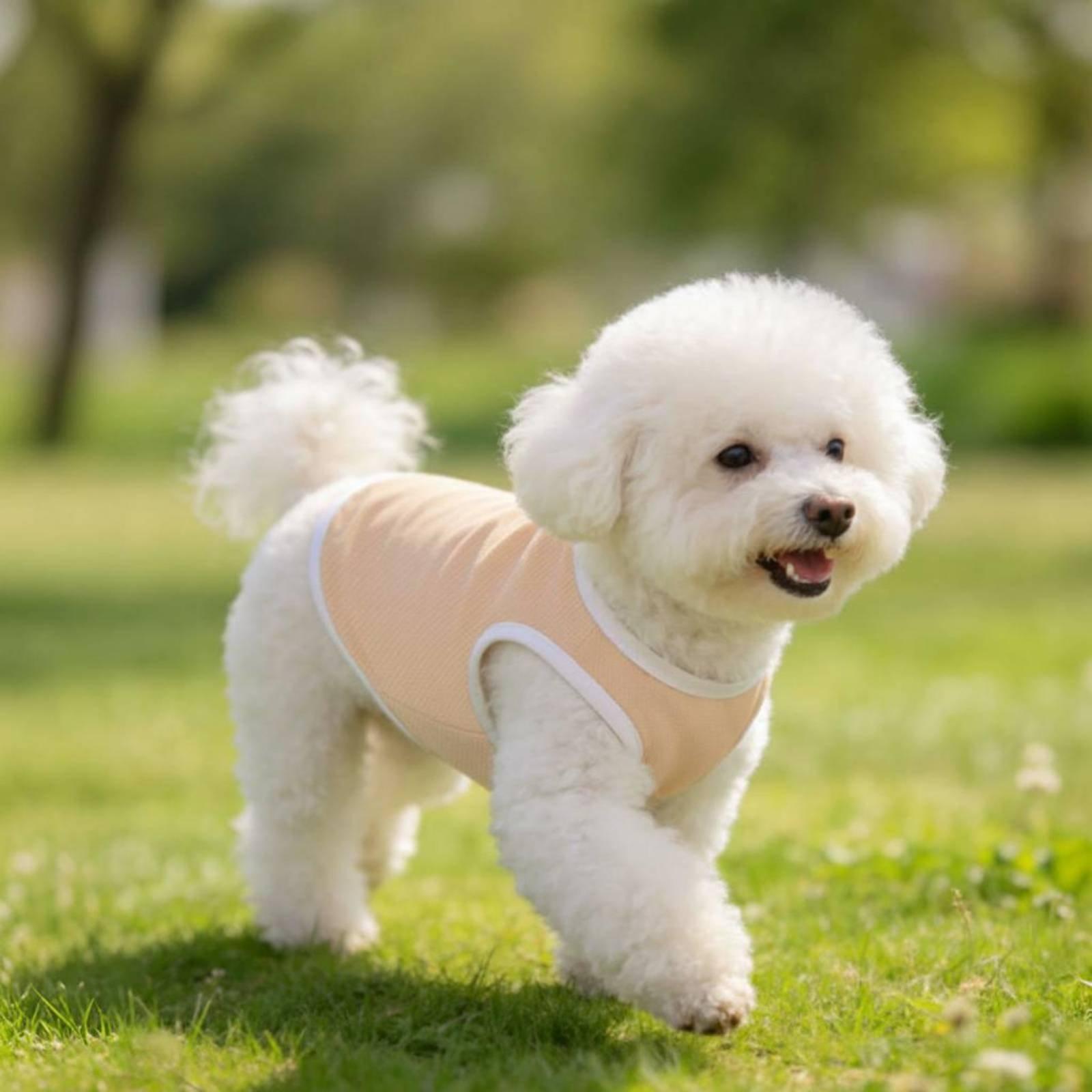 犬用ペットメッシュベスト、暑さ対策、アウトドアアドベンチャー - Outdoor Adventure Boys のレビューと価格