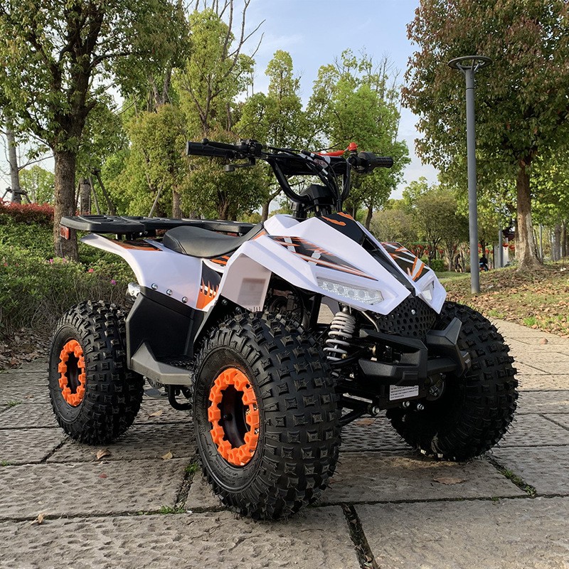 125CC ATV、小型ファルコン全地形対応車、大人用オフロ - Outdoor Adventure Quad Biking のレビューと価格