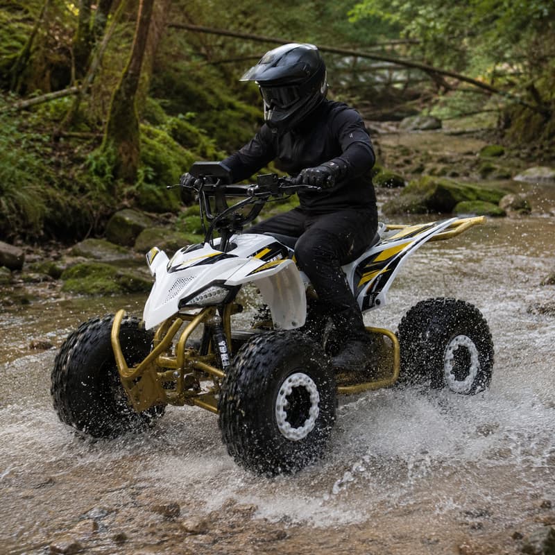 大人用デューンバギー カスタム四輪ATVスポーツクワッドバイ - Outdoor Adventure Quad Biking のレビューと価格